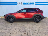 CX-30 2.0 20S レトロスポーツエディション 
