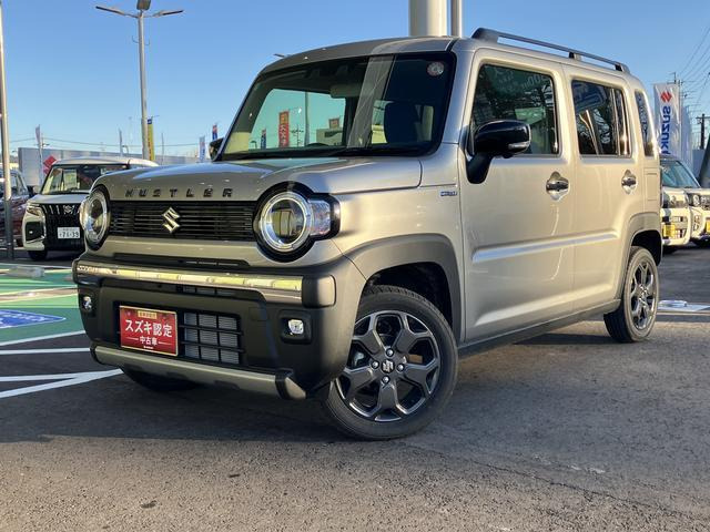 ハスラー タフワイルド 