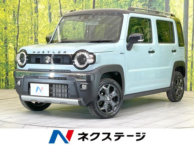 ハスラー タフワイルド 