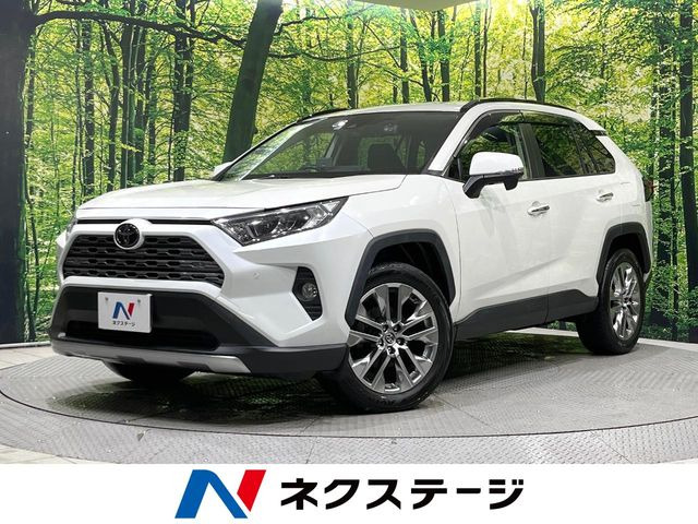 RAV4 2.0 G Zパッケージ 4WD （6BA-MXAA54）