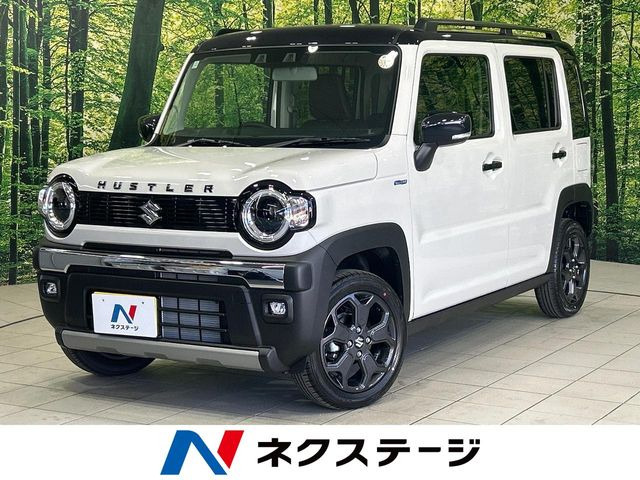 ハスラー タフワイルド 