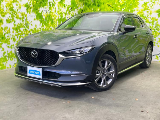 CX-301.8 XD プロアクティブ ツーリングセレクション