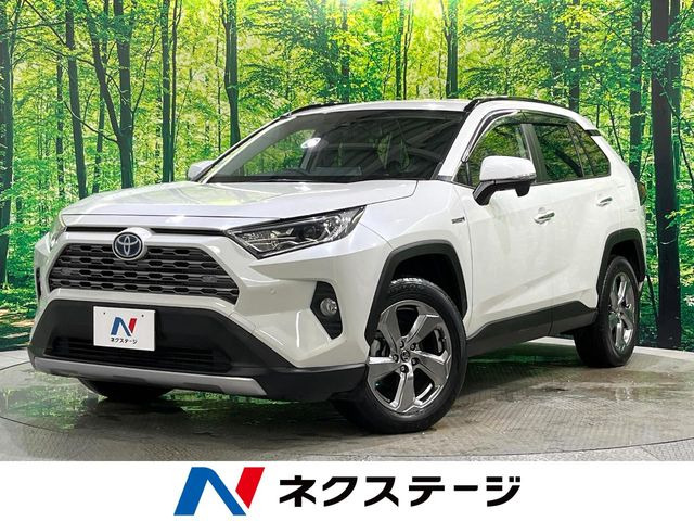 RAV4 2.5 ハイブリッド G E-Four 4WD （6AA-AXAH54）