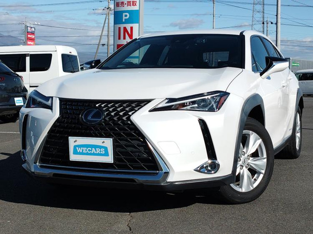 UX250h バージョンC