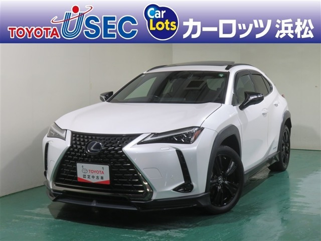 UX250h 4WDアーバン エレガンス 4WD