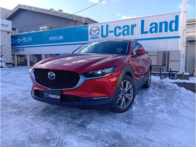 CX-302.0 20S プロアクティブ ツーリングセレクション 4WD