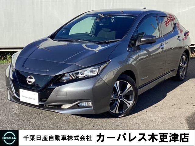 リーフ X Vセレクション