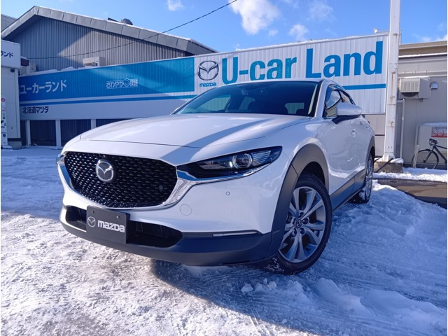 CX-302.0 20S Lパッケージ 4WD
