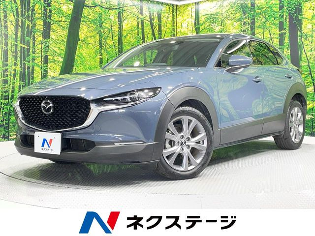 CX-302.0 20S プロアクティブ