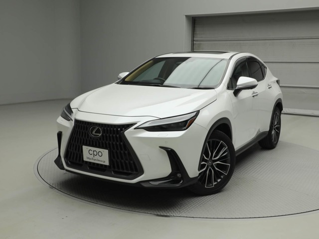 NX250 バージョンL 4WD