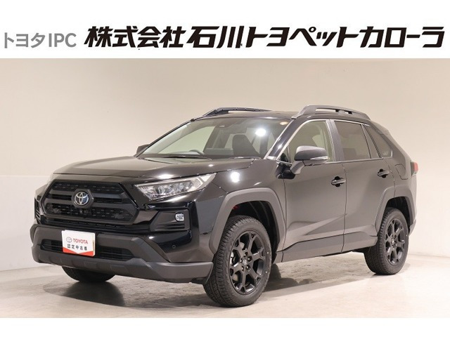 RAV4 2.0 アドベンチャー オフロードパッケージ II 4WD （6BA-MXAA54）