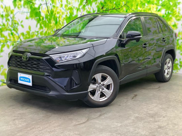 RAV42.0 X