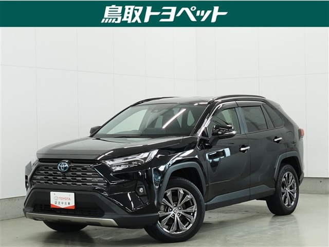 RAV4 2.5 ハイブリッド G E-Four 4WD （6AA-AXAH54）