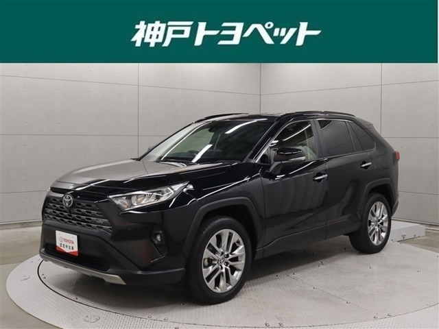RAV4 2.0 G Zパッケージ 4WD（6BA-MXAA54）