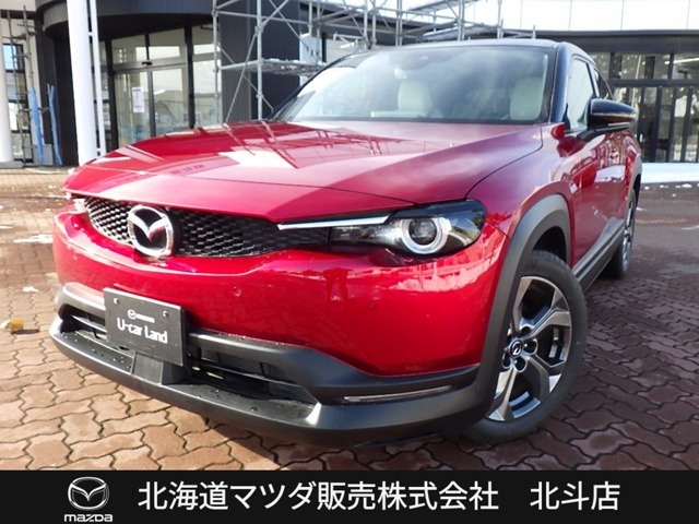 MX-302.0 モダン コンフィデンス 4WD