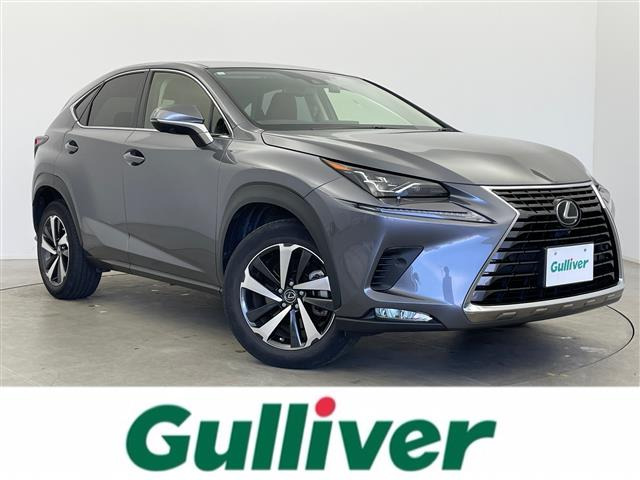 NX300 バージョンL本革シート 修復歴無し