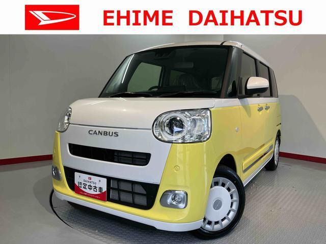 ムーヴキャンバス  ストライプス G