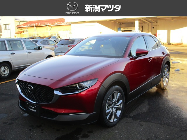 CX-302.0 20S ツーリング 4WD