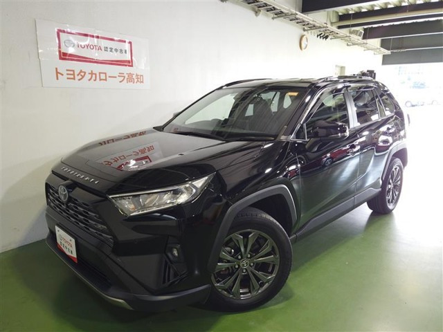 RAV4 2.0 G 4WD（6BA-MXAA54）