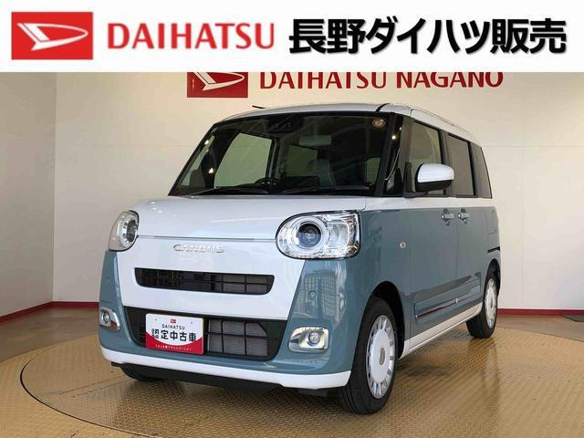 ムーヴキャンバス  ストライプス G