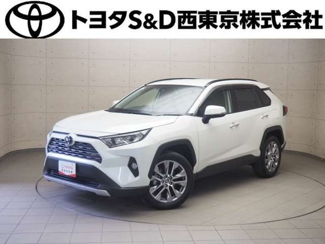 RAV4 2.0 G Zパッケージ 4WD