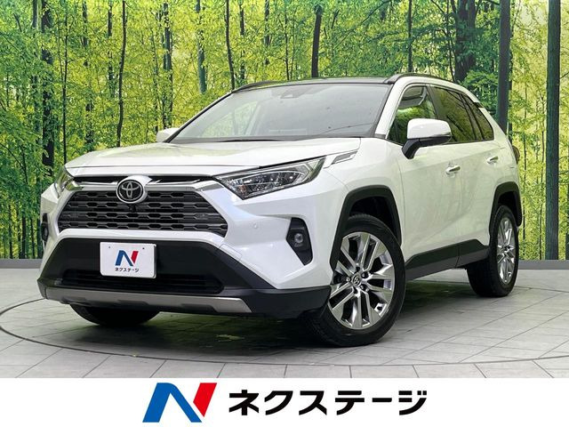 RAV4 2.0 G Zパッケージ 4WD （6BA-MXAA54）