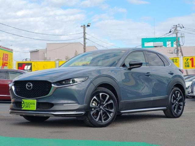 CX-302.0 20S プロアクティブ ツーリングセレクション
