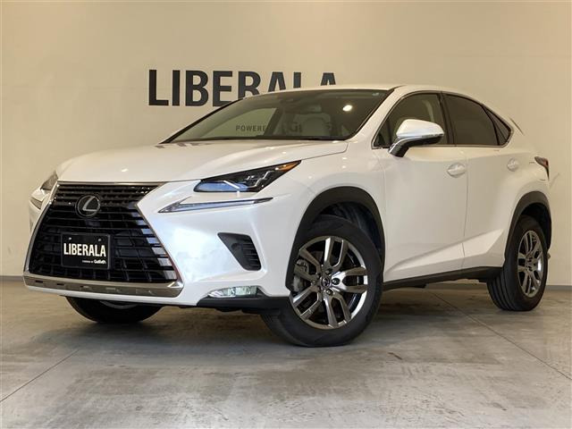 NX300 バージョンL修復歴無し