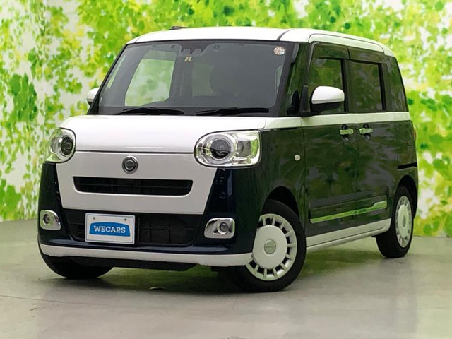 ムーヴキャンバスストライプス G