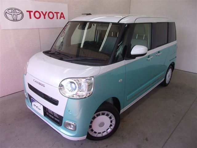 ムーヴキャンバス  ストライプス G