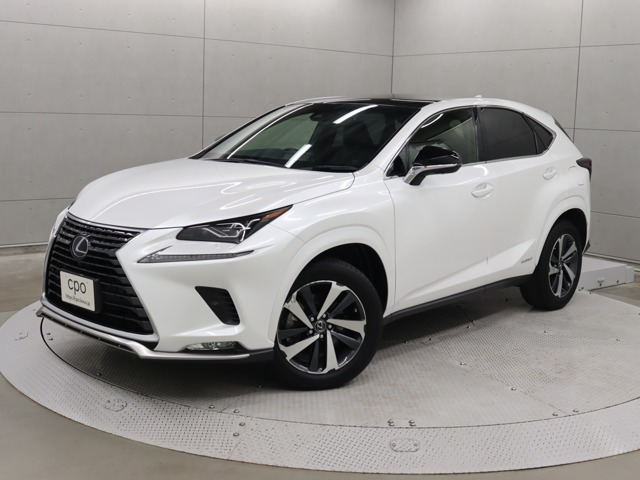 NX300hスパイス&シック