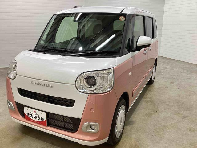 ムーヴキャンバス  ストライプス G