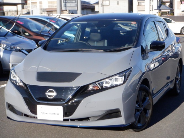 リーフ e+ アーバンクロム