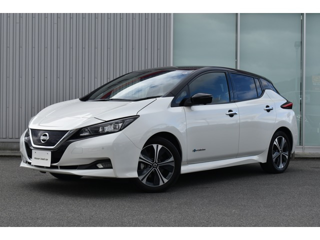 リーフ  X Vセレクション