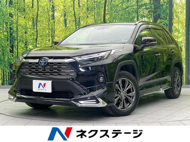 RAV4 2.5 ハイブリッド G E-Four 4WD （6AA-AXAH54）