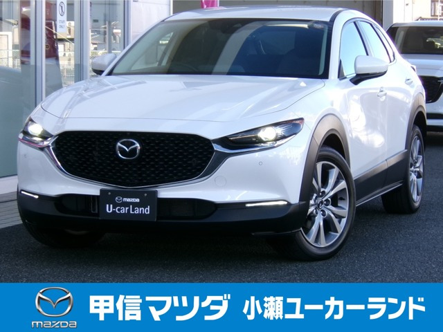 CX-302.0 20S 4WD