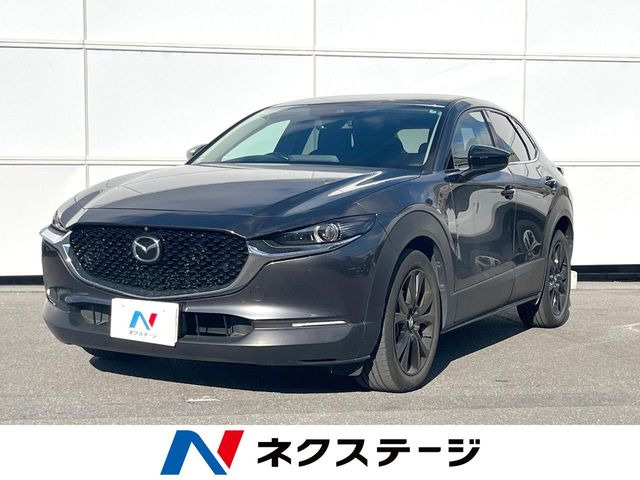 CX-301.8 XD ブラックトーンエディション