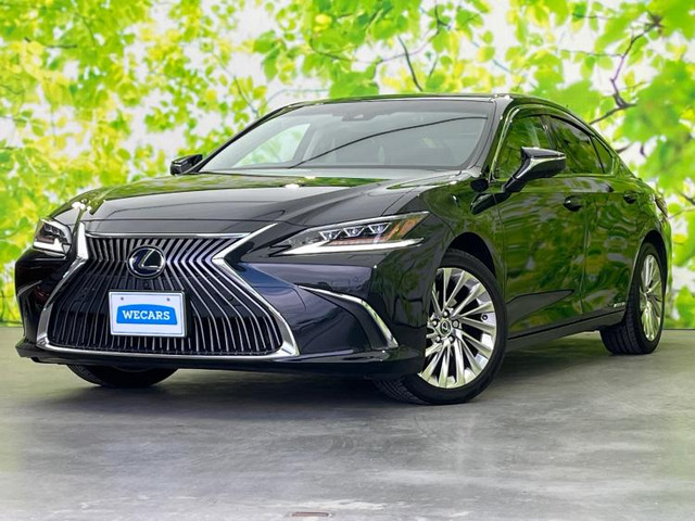 ES300h バージョンL