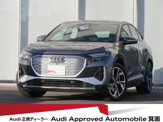 Q4スポーツバックe-tron45 Sライン