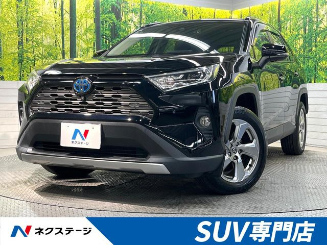 RAV4 2.5 ハイブリッド G E-Four 4WD （6AA-AXAH54）