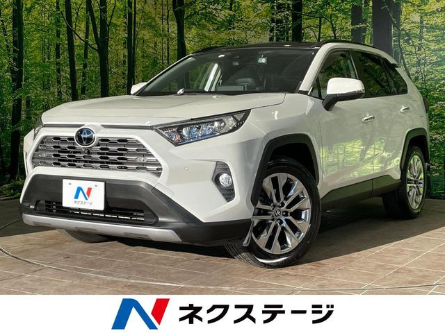 RAV4 2.0 G Zパッケージ 4WD （6BA-MXAA54）