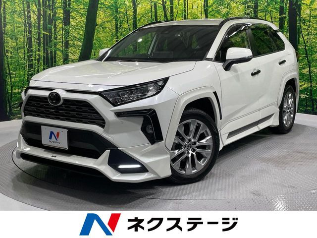 RAV4 2.0 G Zパッケージ 4WD （6BA-MXAA54）