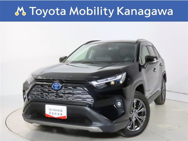 RAV4 2.5 ハイブリッド G E-Four 4WD （6AA-AXAH54）