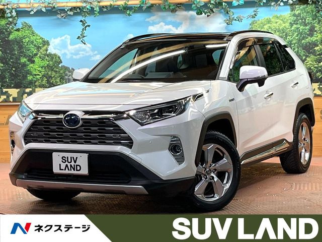 RAV4 2.5 ハイブリッド G E-Four 4WD （6AA-AXAH54）