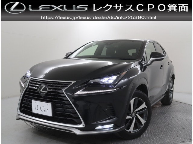 NX300スパイス&シック