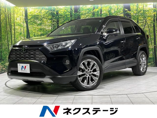 RAV4 2.0 G Zパッケージ 4WD （6BA-MXAA54）