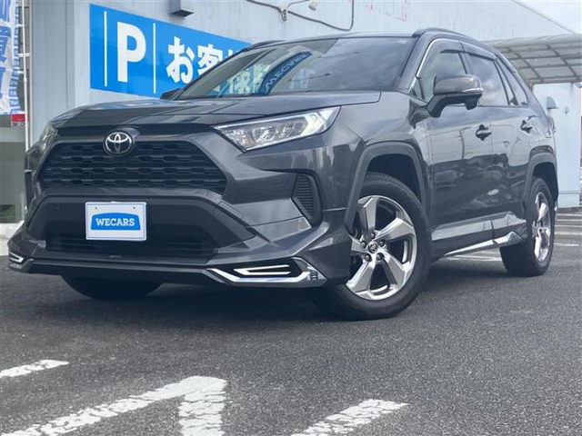 RAV42.0 X