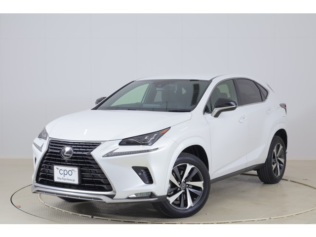 NX300スパイス&シック