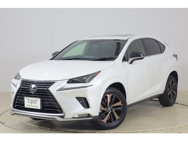 NX300スパイス&シック 4WD