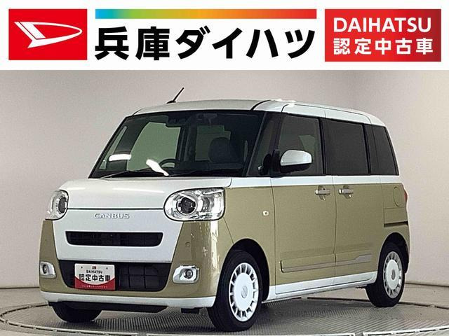 ムーヴキャンバスストライプス G